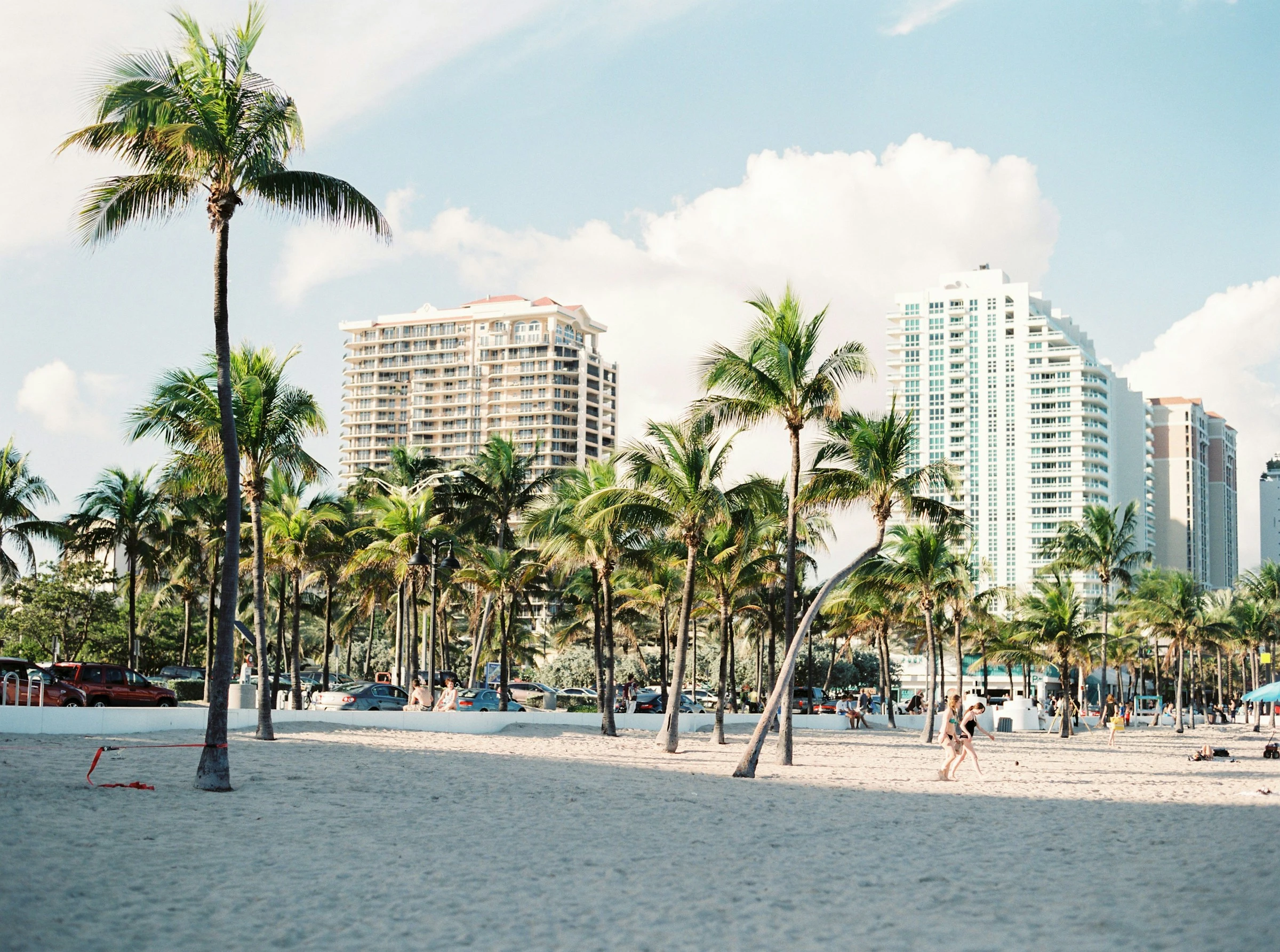 Miami beachfront skyline with palm trees, illustrating an article on should Miami agents use custom GPTs instead of generic ChatGPT.